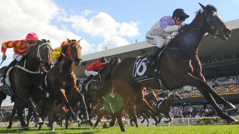 A shift to Moruya helped Matthew Dale's Rapture Miss salute in The Country Classic.