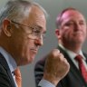 'How could he have been so stupid': Turnbull, Joyce and the 'bonk ban' debacle
