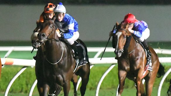 Warwick Farm races: Richard Litt not worried by Wander flying under the ...