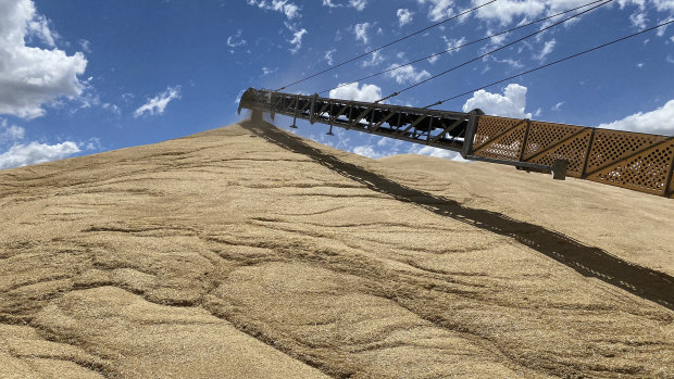 Bulk grain handler GrainCorp has already received 3.9 million tonnes of grain this harvest, about the same as for the entire drought-hit harvest last year.