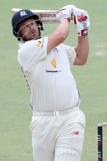 Aaron Finch returns to the Victorian Sheffield Shield side on Tuesday.