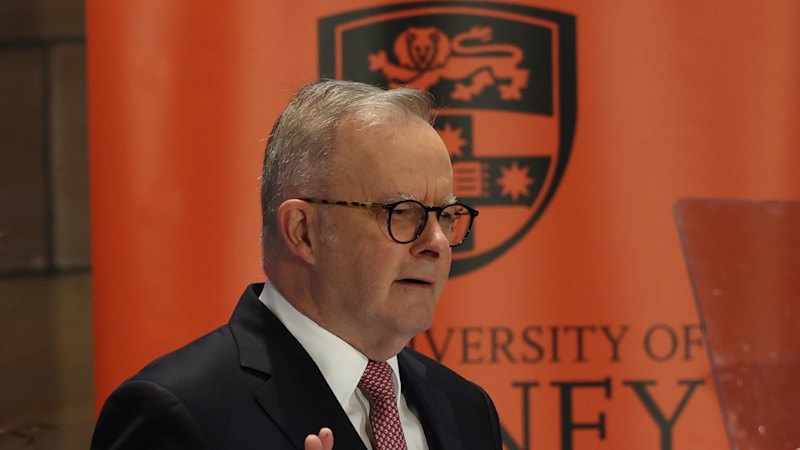 AI job losses poised to upend Labor’s electoral map One Nation-style