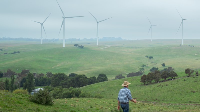 Wind farm permits could be revoked in ‘ghost project' crackdown