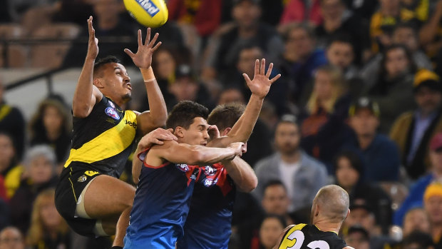 Stack's up:  Richmond's Sydney Stack flies high for a mark against Melbourne.