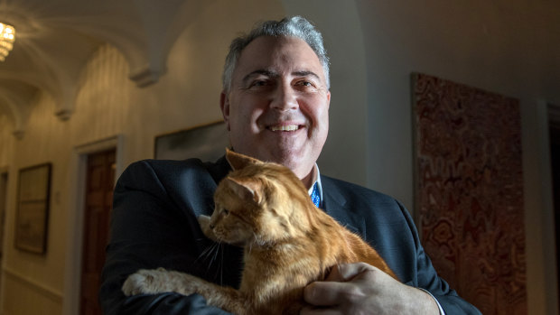 With the family cat, Bluey, outgoing Australian ambassador to the United States, Joe Hockey. 