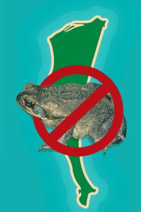 Brisbane City Council spends about $30,000 a year trying to keep Moreton Island cane toad free.