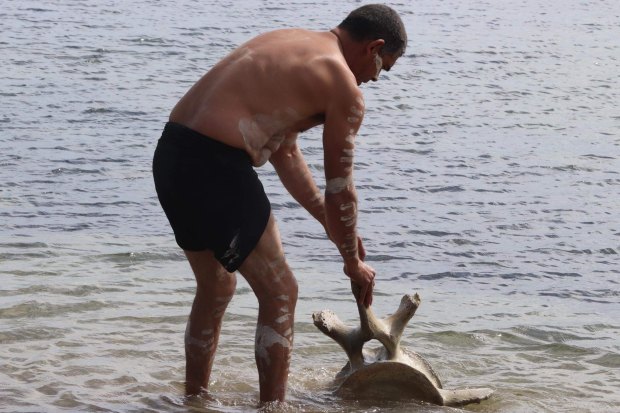 Gunditjmara man Shea Rotumah washing a whale bone.