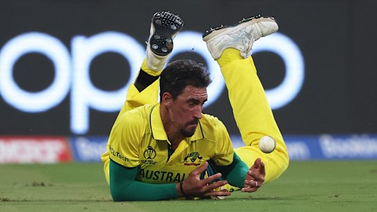 Starc drops a chance against South Africa.