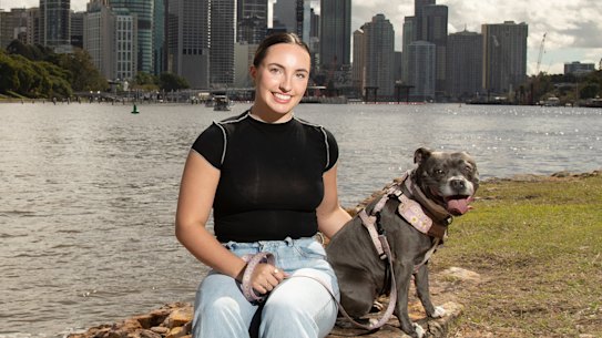 Sophie Mather’s Blue Staffy Delilah as the breed is voted Brisbane’s favourite dog breed.