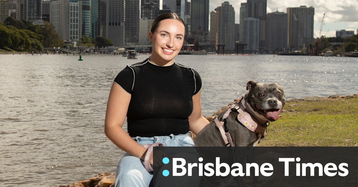 Brisbane's most popular dog breeds by postcode - Vimarsana News