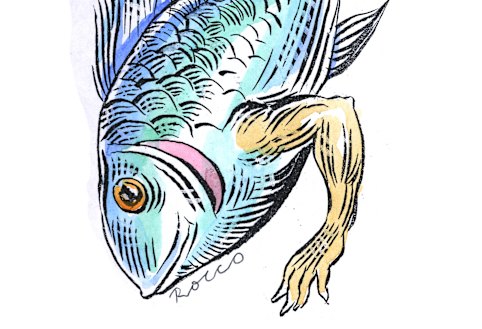 Illustration: Rocco Fazzari 