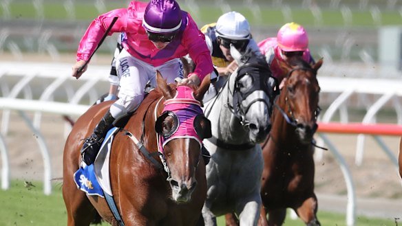 Sportsbet's owner says a merger with BetEasy will help them compete with TAB. 