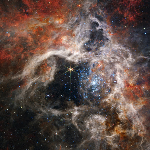The star-forming region of the Tarantula Nebula, 340 light-years across, captured by the James Webb Space Telescope’s Near-Infrared Camera.