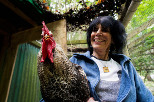 “That crazy chicken lady” Karen Davis with one of her flock.