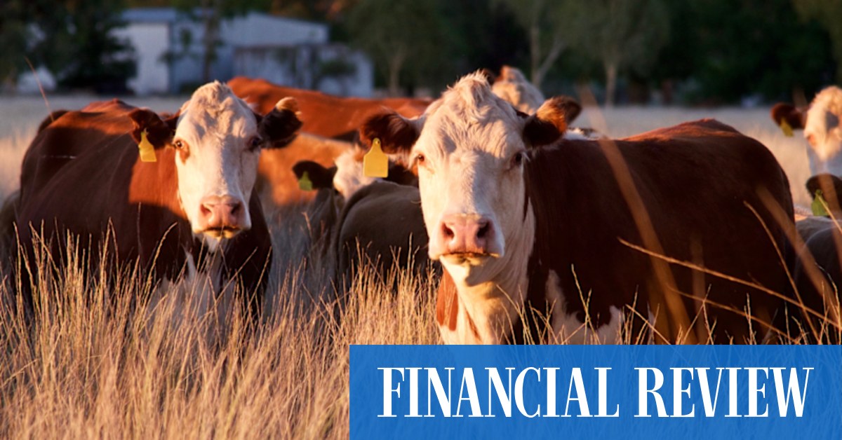 Farmer optimism is rising, Elders off to strong start