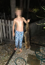 Coogee resident captures fox caught stealing chickens.