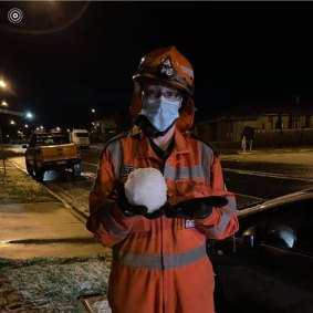 An SES worker holds a bail of hail on Thursday night. 