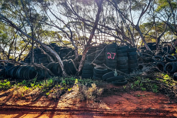 One of dozens of piles of waste tyres  Colin Thomson hid among the scrub.