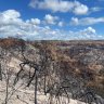 Two of four charged over Fraser Island bushfire plead guilty, fined