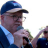 PM Anthony Albanese attends the Canberra rally against DV. 