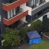 University of Sydney students in suspected inner west murder-suicide