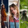 The best new shows to stream in December