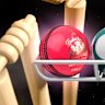 Pink-ball Test matches can be a lottery for batters.
