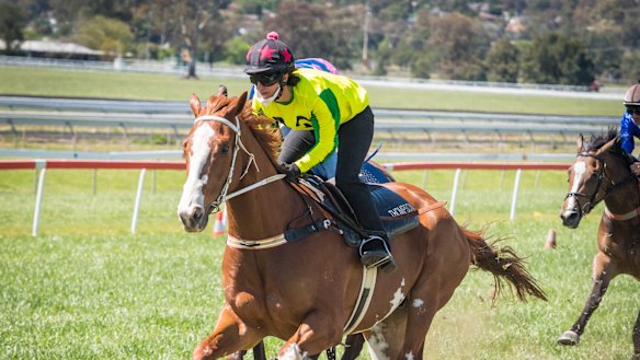 Apprentice jockey Marina Morel.