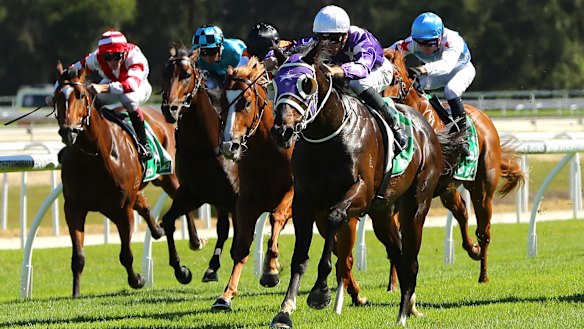 Gosford races Thursday tips and full preview