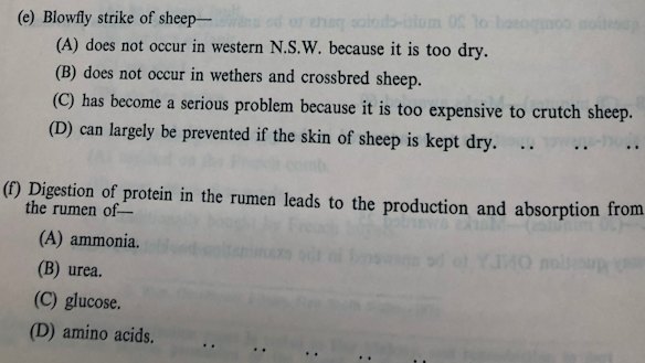 Sheep Husbandry and Wool Technology HSC exam 1978.