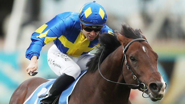 Dawn Passage is favourite to win Saturday's Stradbroke Handicap.