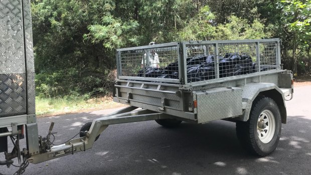 Bags of dead bats are removed by authorities near the Mitchell River in Bairnsdale. 