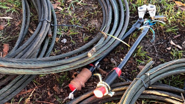 Would-be thieves used bolt cutters to cut down 150 metres of live high voltage powerlines.