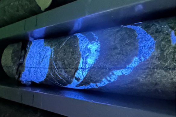 Larvotto Resources has confirmed high-grade tungsten-bearing scheelite mineralisation at its Clarks Gully prospect in NSW, shown here under ultraviolet light across part of a one-metre drill intercept returning 7.27 per cent tungsten trioxide from 375m.