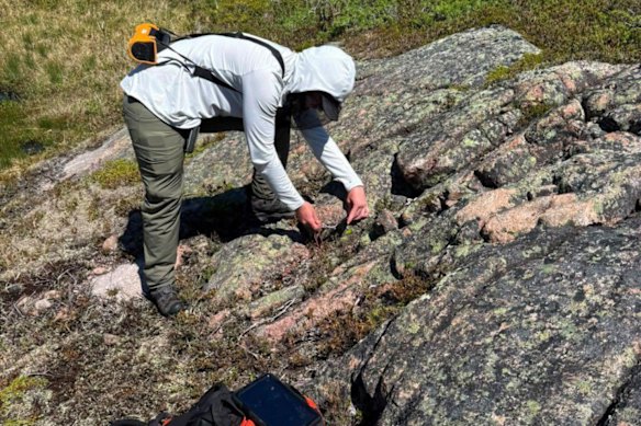 Infini Resources’ field program is underway at Portland Creek, with mapping, sampling and prospecting across priority radiometric anomaly and structural target areas to refine targets for the company’s next phase of drilling.