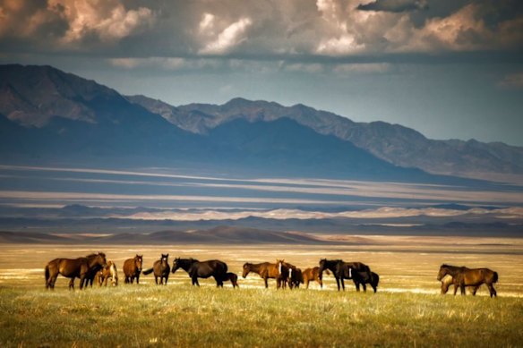 Sarytogan Graphite’s massive graphite project is situated in central east Kazakhstan and was first explored in the 1980s before the company’s 100% owned subsidiary Ushtogan LLP resumed exploration in 2018.