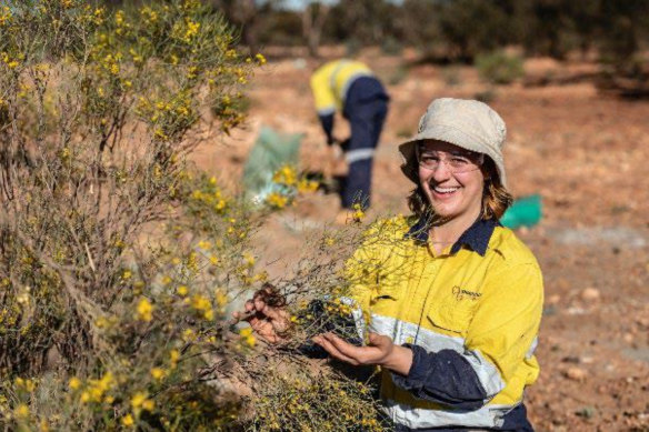 Ora Banda Mining got a share price kick when it revealed a $26 million investment from Westfarmers.