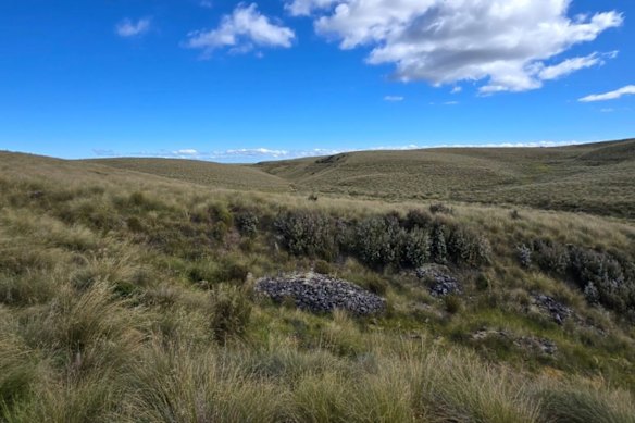Critical Resources’ Lammerlaw historical alluvial gold-antimony workings within its Stony Creek trend area, looking north.