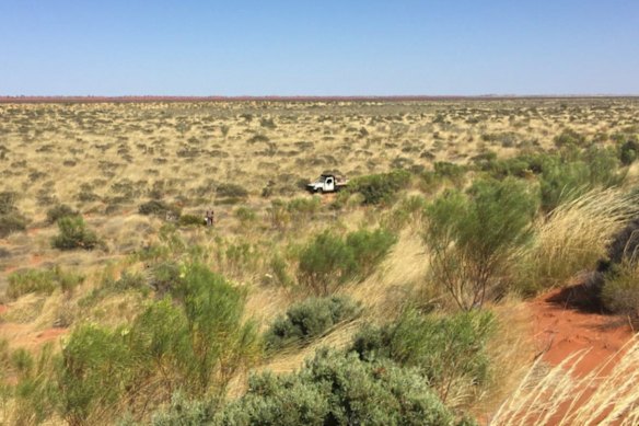 The rolling arid landscape of the barren Paterson Province, where West Wits has divested its Mt Cecelia gold project to the soon-to-be-listed Aventine Resources.