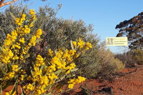 Ardea Resources is developing a world-class nickel-cobalt project in the WA’s Eastern Goldfields, with a strong focus on minimising its environmental footprint and rehabilitation.