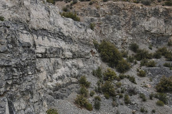 Evion Group’s CARP fluorspar project in the tier-1 mining jurisdiction of Nevada, USA.