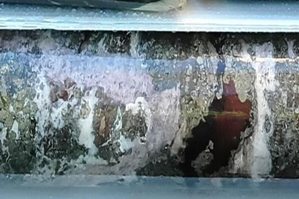 Stunning gold and silver sulphides in drilling at Advance Metals’ Yoquivo project in Chihuahua, Mexico.