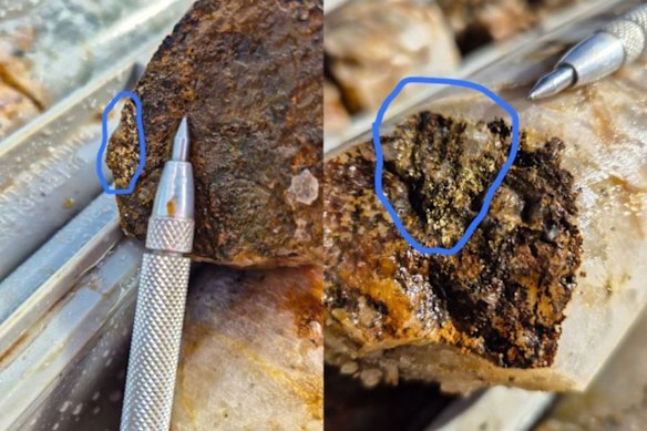 Visible gold chunks in diamond drilling core from Kula Gold’s Mt Palmer gold project outside Southern Cross in the Western Australia goldfields.