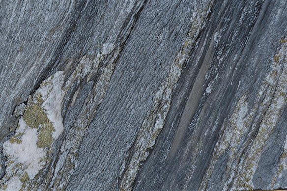 Core from Red Metal Limited’s maiden drilling at its Pulkarrimarra gold-copper project in Paterson, WA, showing heavily pyritic and carbonaceous Broadhurst Formation with strong pyrite-carbonate-quartz veining.