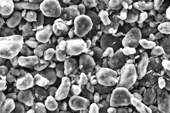 Sarytogan has produced high-quality coated spherical purified graphite (pictured) from its giant deposit in Kazakhstan, exceeding key lithium-ion battery specifications.