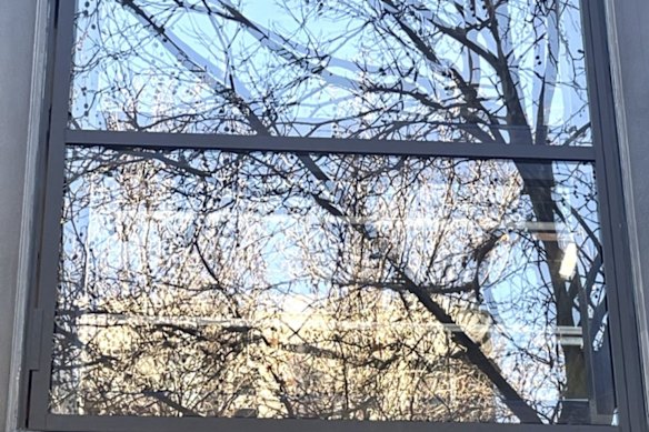 ClearVue Technologies says its solar glazing suite can meet the same safety standards expected of standard architectural glass.