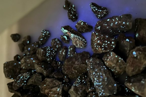 Fluorescent Viking Mines’ ore under UV light after sorting testwork produced a high-grade tungsten upgrade, more than quadrupling its feedstock grade.