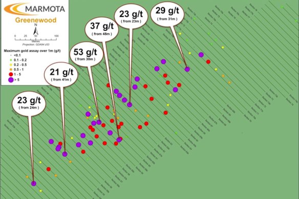 A birds-eye view of Marmota Limited’s peak downhole gold grades from 1m intervals at its latest Greenewood deposit in South Australia’s Gawler Craton. 