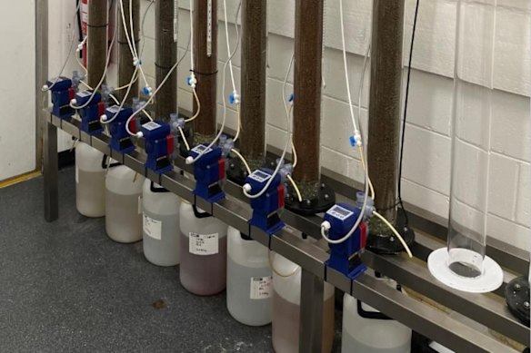Red Metal Limited’s column leach test set-up showing its 100mm and 150mm columns with coarsely crushed ore samples from the Kary Zone within its Sybella rare earths project, near Mt Isa in Queensland.