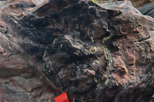 Black visual uraninite surrounded by greenish-yellow mineralisation at surface at Infini Resources’ Reitenbach Lake project in Canada Infini Resources Reitenbach Lake project. Athabasca, Canada.